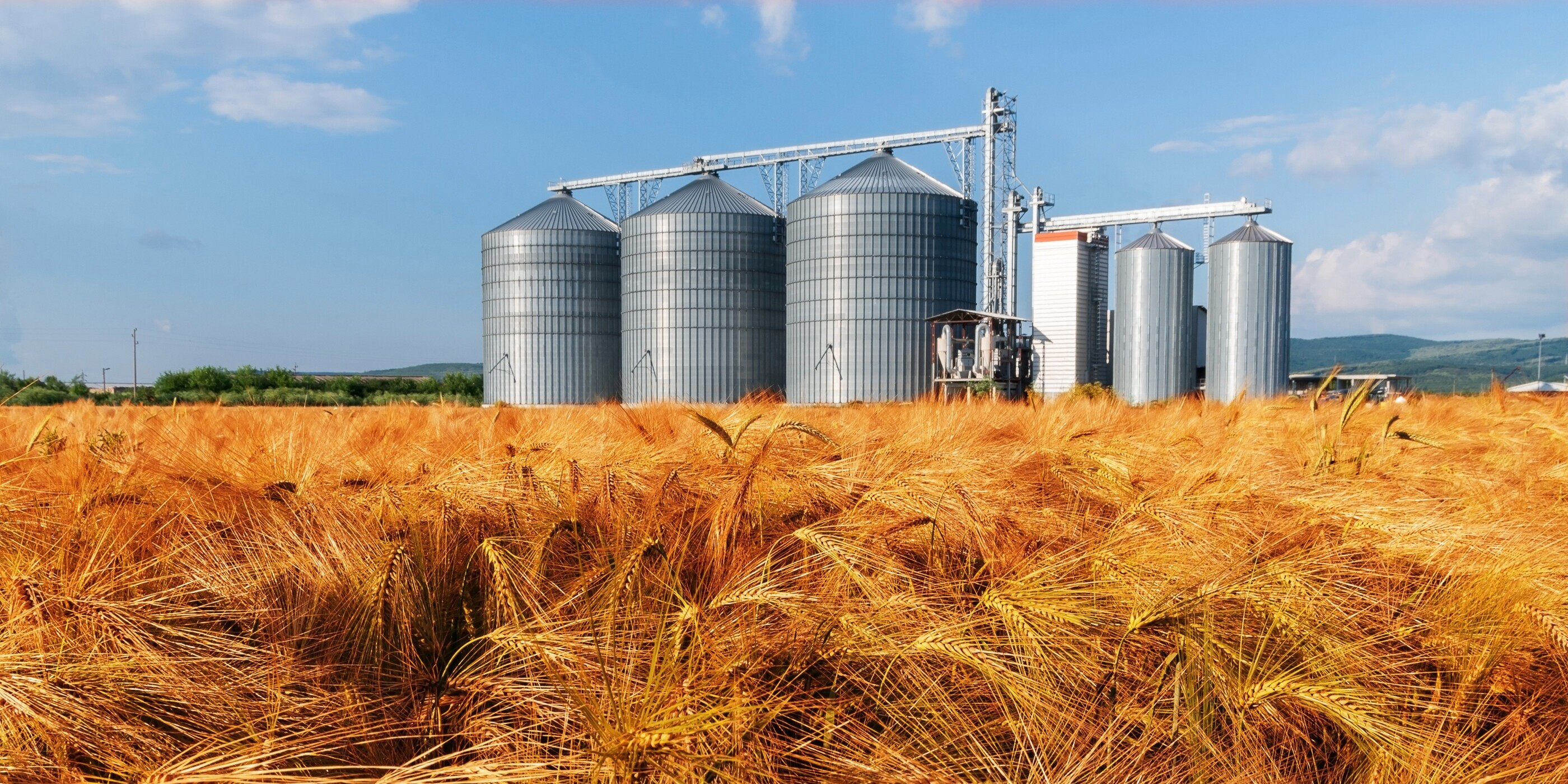 Silo field